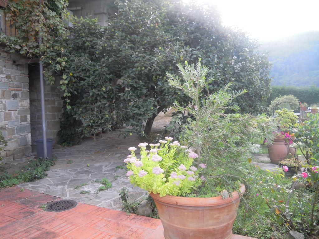 Bel Panorama Tre Vendégház Pelago Kültér fotó