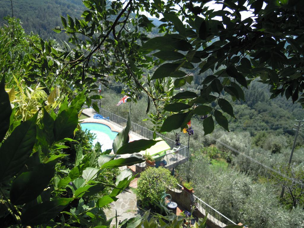 Bel Panorama Tre Vendégház Pelago Kültér fotó